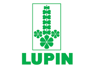 lupin